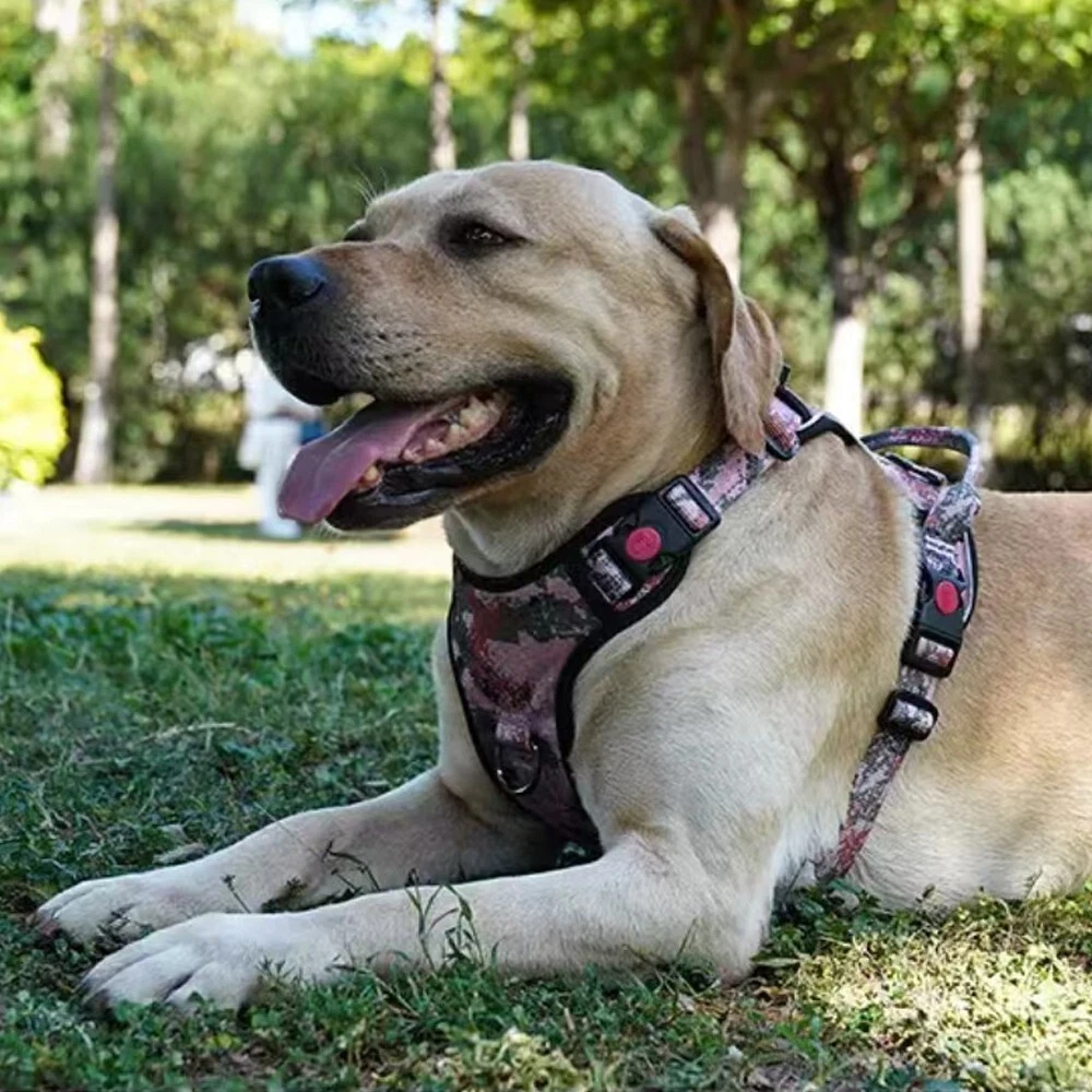 Dog Harness No-Pull Pet Adjustable Control Reflective No-Choke LED Light Vest Dog Harness No-Pull Pet Adjustable Control Reflective No-Choke LED Light Vest