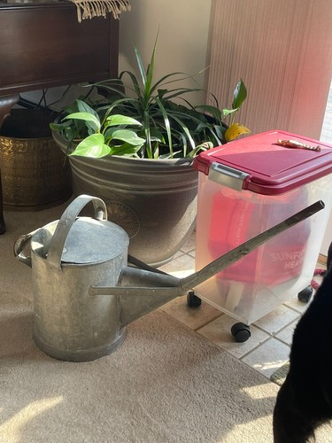 Vintage Galvanized Watering Can – Long Spout, 3 Gal, Rustic Garden Décor - Picture 4 of 7