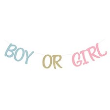 Glittery Boy or Girl Banner for Gender Reveal Party Decorations Photo Prop Ba...