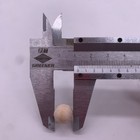 Picture 6 of 19