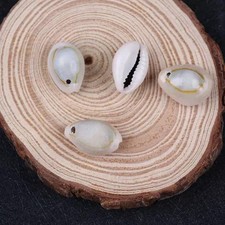 100 gm, 24x15mm-18x13mm Drilled One Hole Sea Shell Cowrie Beads Brown
