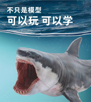PNSO Model Megalodon Marine hegemon PVC Statue Model In Stock NEW