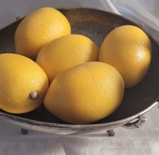 Set of 5 Artificial Lemons Faux Fruit 3 1/2  Realistic Kitchen Display Decor