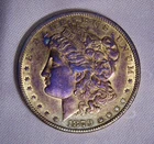 1879 Morgan Silver Dollar, Toning