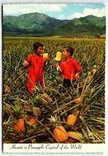 Children Eating Fresh Pineapple Chrome Postcard Del Monte Field Hawaii HI UNP