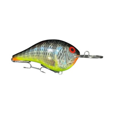 Rapala Giant Lure DT Tilapia - RGDT-TIL + Display Box - Collector