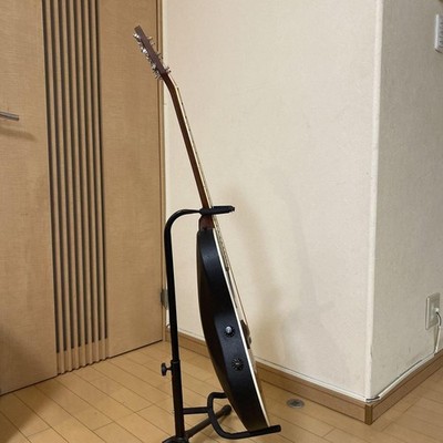 Electric Acoustic Guitar Stafford & Co. SE-350 BS Flamed Top | eBay