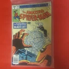 Amazing Spider-Man #205 Marvel 1980 At Long Last... Black Cat, Spider-Man