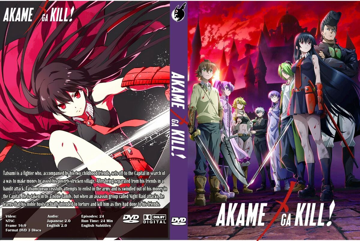 Anime Review: Akame Ga Kill – The Complete Collection