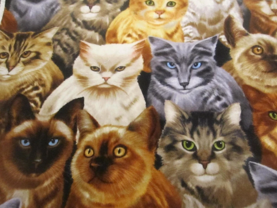 Хлопковая фланелевая ткань для кошек котят кошек Timeless Treasures 1 ярд 8x42 - Изображение 2 из 4