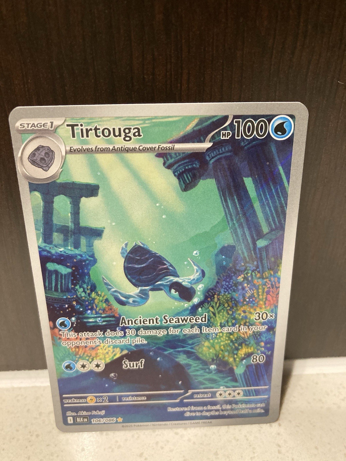 Tirtouga - 106/086 - Black Bolt - Illustration Rare Holo - NM Pokémon