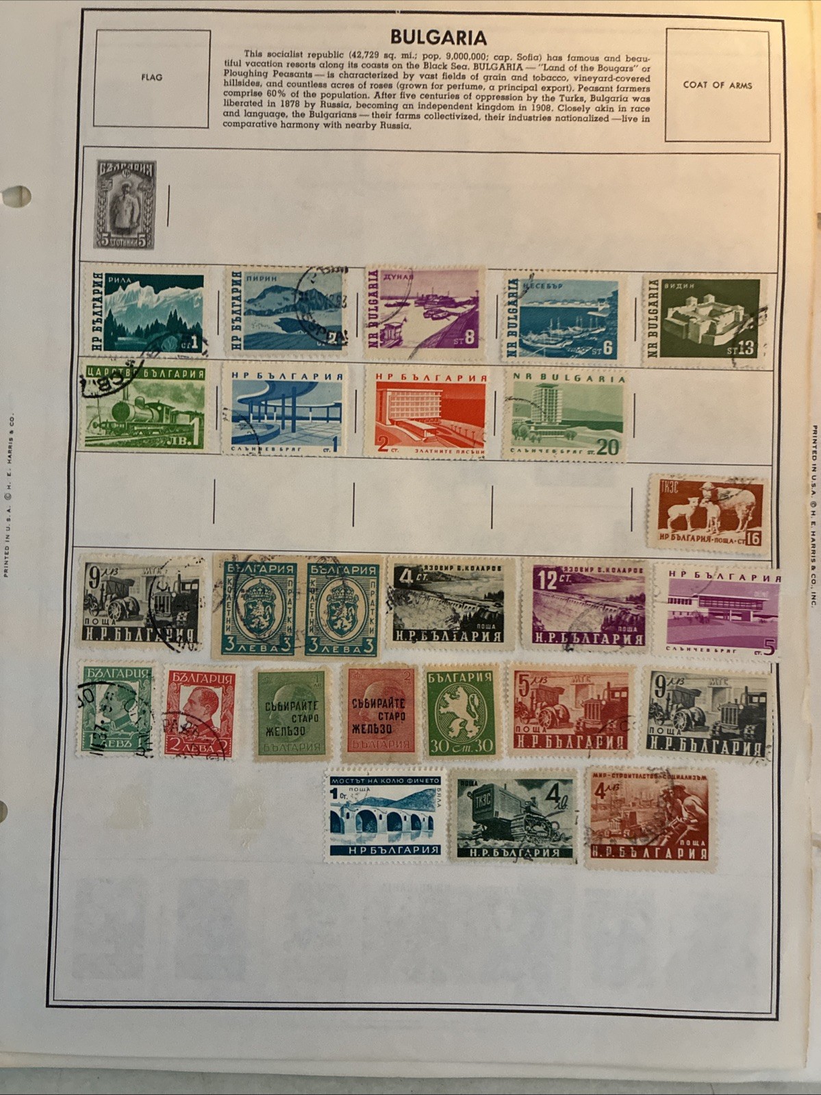 Picture 5 of 14