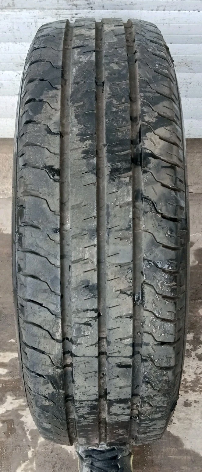Picture 6 of 11