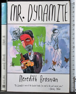 MR DYNAMITE. MEREDITH BROSNAN. DALKEY ARCHIVE PRESS. 1ED.