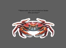 Crab Sticker Waterproof Decal Realistic Ocean Beach Animal Wildlife Gift NEW