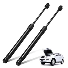  Rear Hatch Tailgate Lift Supports Struts Compatible with Scion tC 2005 4597