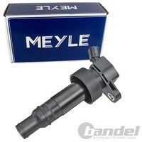 Meyle ZÜNdspule Passend FüR Hyundai I30 I40 IX35 Tucson Veloster KIA Carens