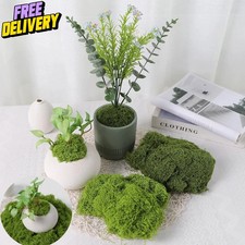 Fake Moss Dark Green and Light Green Artificial Moss for Arts and Crafts Plants
