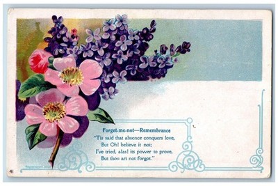 Language Of Flowers Romance Postcard Forget Me Not Remembrance 1911 Embossed