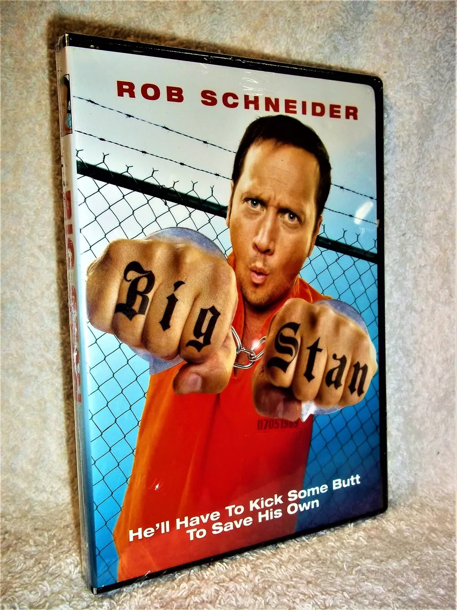 Big Stan (DVD, 2009) Rob Schneider David Carradine goofy action prison  comedy 883929046959 | eBay