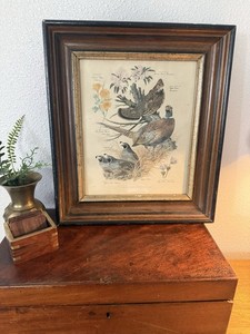 Vintage ARTHUR SINGER Framed Art Print #3 PA Ruffed Grouse Poppy Quail Pheasant