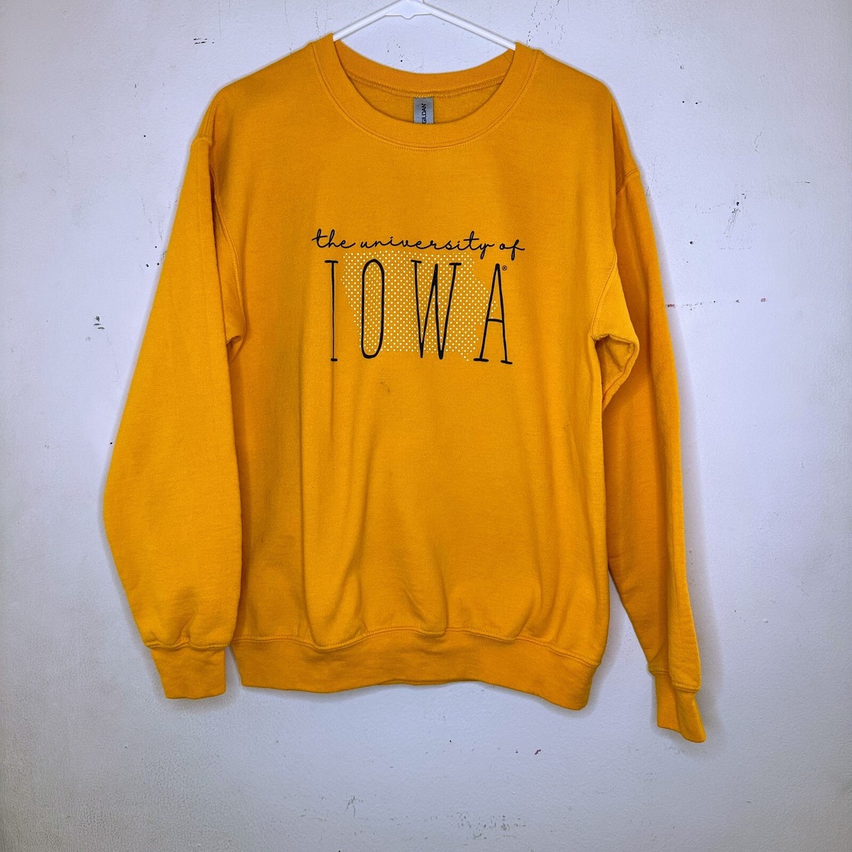 Hotelkalingaashok Champion Script Hoodie Black Gold Hawkeyes