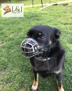 muzzle for yorkshire terrier