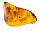 LARGE FLY INCLUSION GENUINE BALTIC AMBER FOSSIL 9.10G POLISHED SHOWPIECE — photo 3
