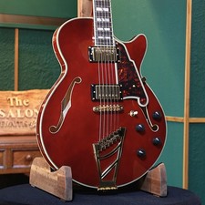 Strap ampaign D Angelico Electric Guitar Semi-Aco Semi-Hollow Excel SS Viola