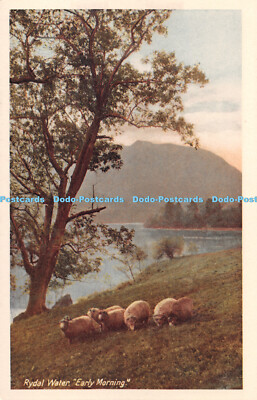 R285715 Rydal Wasser Frühmorgen Postkarte