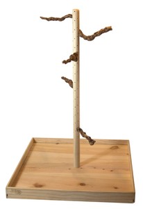 natural parrot stand
