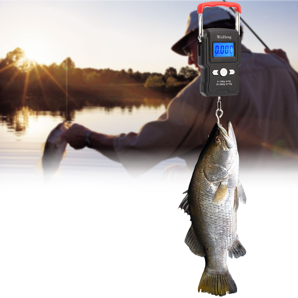 50KG Digital Electronic Weighing Fishing Scale Travel Fish Hanging Hook  Portable