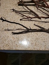 manzanita branches