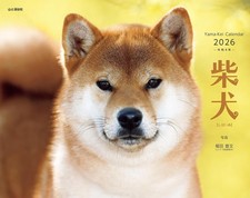 Calendar 2026 Shiba Inu Monthly/Wall Hanging/Dog  Yamakei Calendar 2026 
