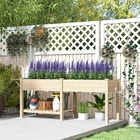 Raised Garden Bed, Wood Garden Box with Bottom Shelf, Natural