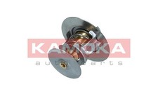 Thermostat Ford P 100