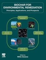 Biochar For Environmental Remediation | Willi Gwenzi | Englisch | Taschenbuch
