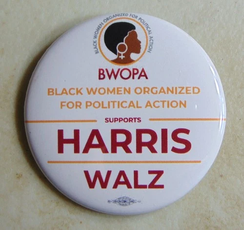 Kamala Harris 2024 campaign pin button political