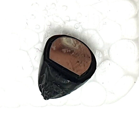Picture 6 of 7