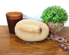 100% Genuine Globidens Mosasaur Tooth and Root Fossil Composite 140 x 90mm