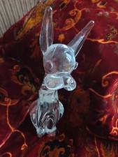 Glass only month of a dog