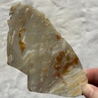 HEBER UTAH PETRIFIED WOOD SLAB ~ 154 grams / rough agate jasper mineral rock cab — photo 5