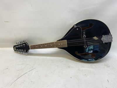 ROGUE RM-101A Mandolin String Instrument