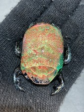 Glass Boro Sculpture Dichro Scarab Beetle 63mm Hand Made Dichro Art  