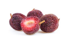 10 semi Freschi YANGMEI (Myrica rubra) – Frutto Rarissimo Asiatico