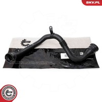 Esen SKV Ladeluftschlauch Turboschlauch FüR Renault ScéNic III 1.5 Dci Grand