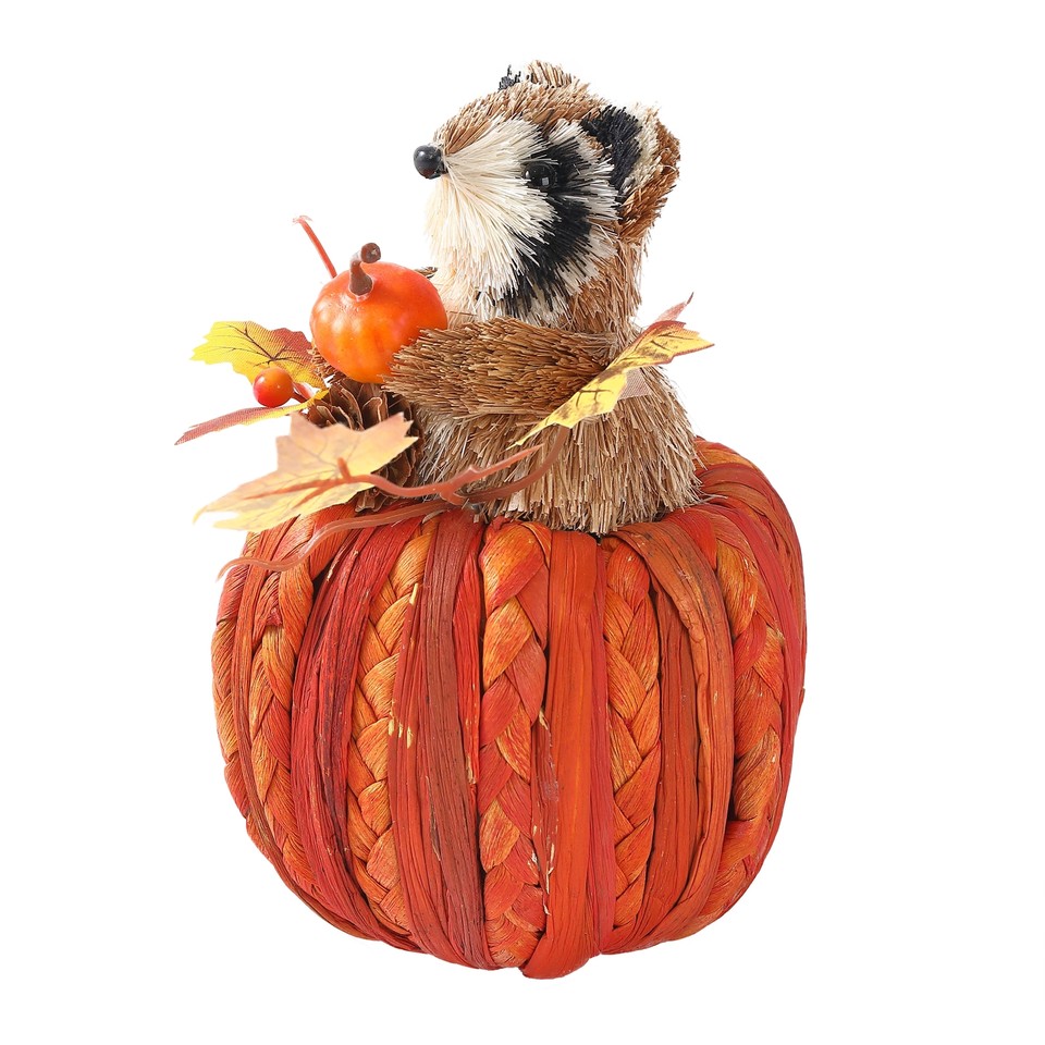 7" Raccoon on Pumpkin by Ashland®Fall Decor for Home eBay