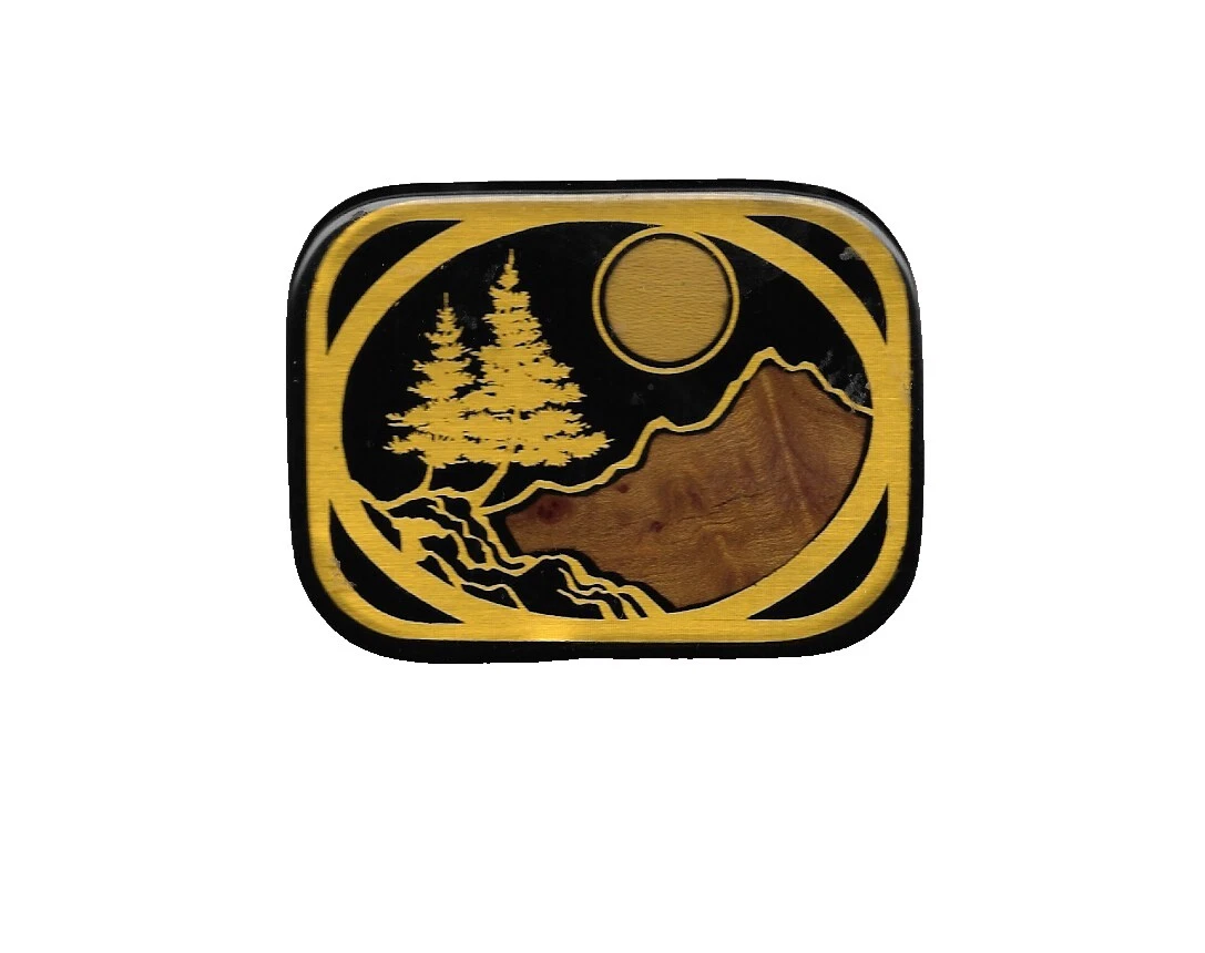 Hebillas de cinturón vintage originales de vaquero y occidental de Indiana Craft