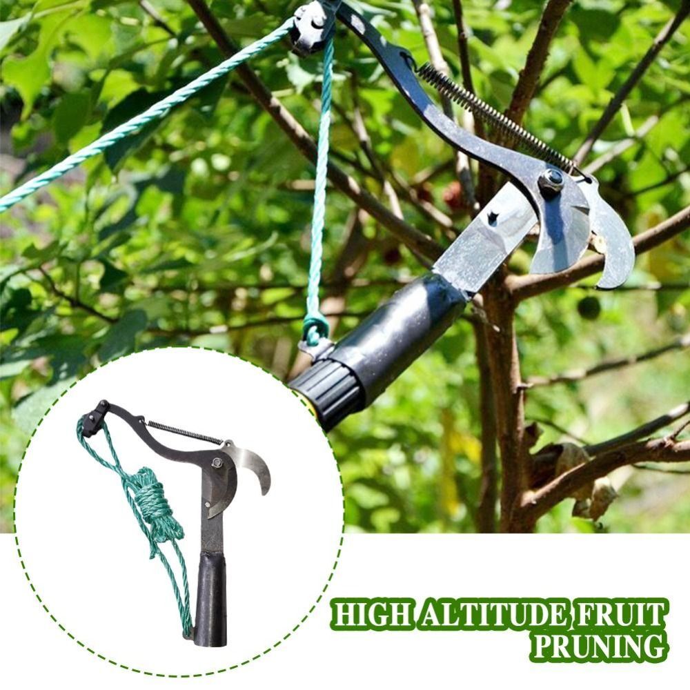 Forbici telescopiche ad alta quota raccoglitore frutta giardino albero da frutto giardino...