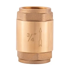 Brass In-Line Check Valve, 3/4 Inch IPS Threaded Connection, Stainless Steel ...